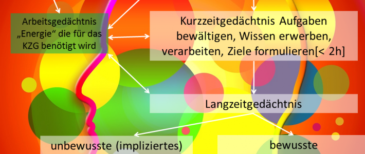 PK 13 Das Gedächtnis