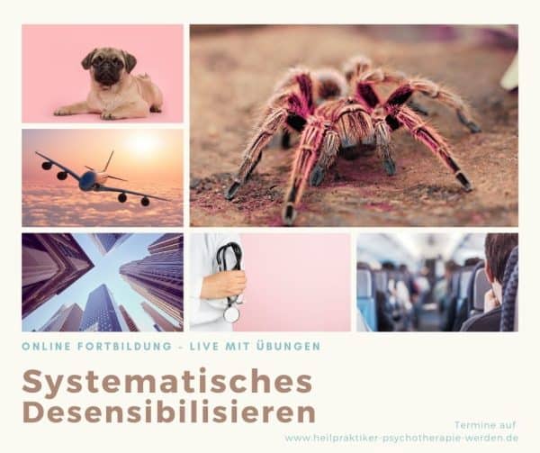 Workshop: Systematisches Desensibilisieren
